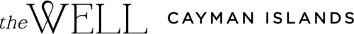 THE WELL LTD